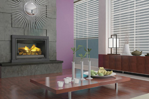 Gas Fireplace Inserts by Napoleon